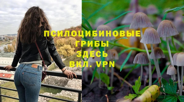 ALPHA PVP Алзамай